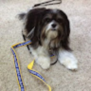 Meet your Posher, Carol